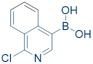 1-Chloro-4-isoquinolinylboronicacid