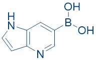 1H-Pyrrolo[3,2-B]pyridine-6-boronicacid
