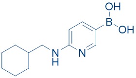 2-(Cyclohexylmethylamino)pyridine-5-boronicacid