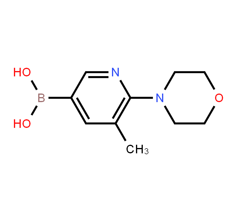 5-Methyl-6-morpholinopyridine-3-boronicacid