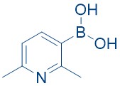 2,6-Dimethylpyridine-3-boronicacid