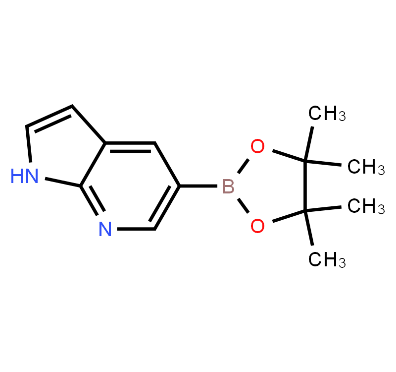 Pyrrolo[2,3-b]pyridine-5-boronicacidpinacolester
