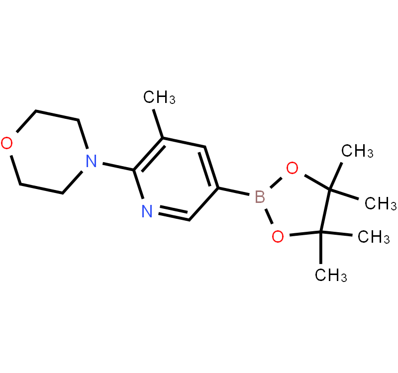 5-Methyl-6-morpholinopyridine-3-boronicacidpinacolester