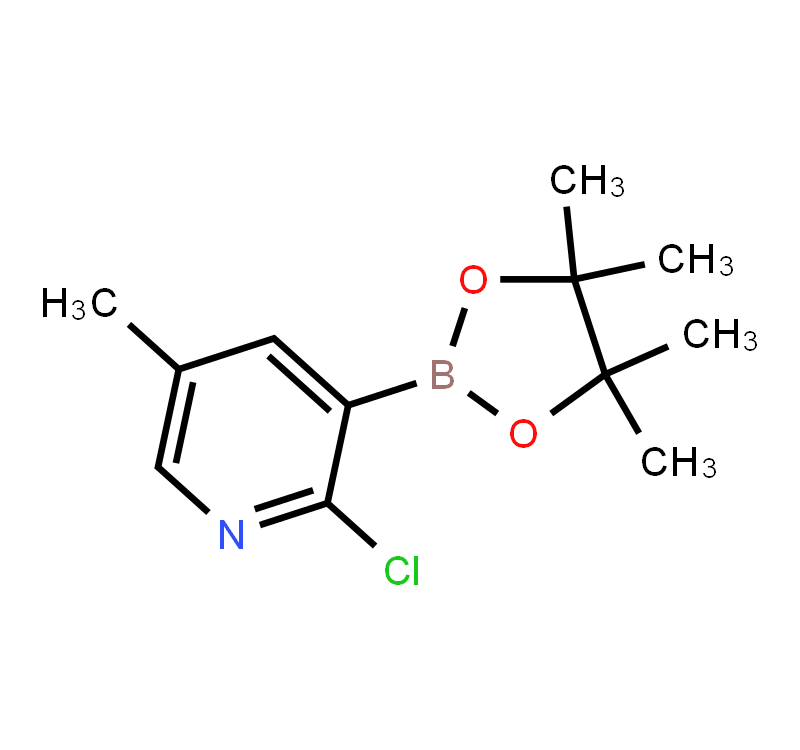 2-Chloro-5-methylpyridine-3-boronicacidpinacolester