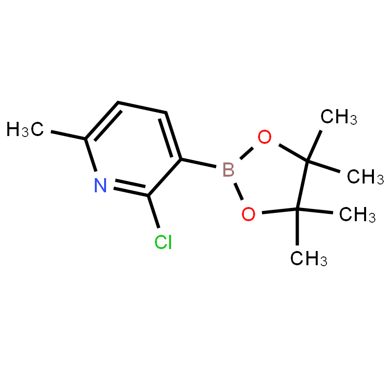 2-Chloro-6-methylpyridine-3-boronicacidpinacolester